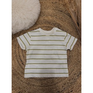 T SHIRT MATEO