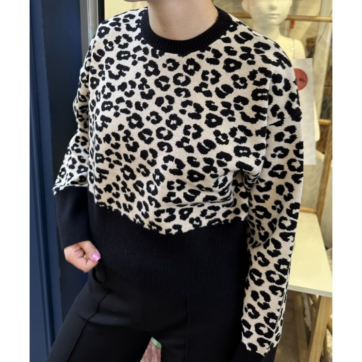 PULL COURT LEO