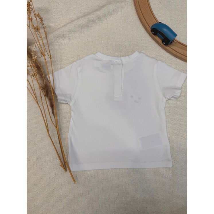 T SHIRT SHARK